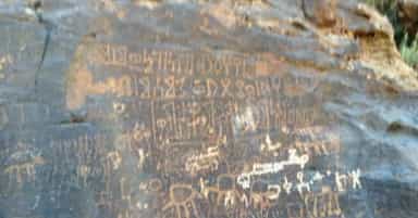 الشرعي بينون 29